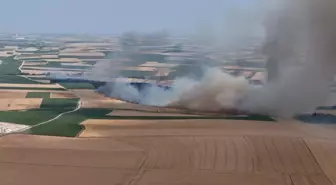 Lüleburgaz'da Hasat Edilmemiş Tarlada Yangın: 500 Dekar Zarar Gördü